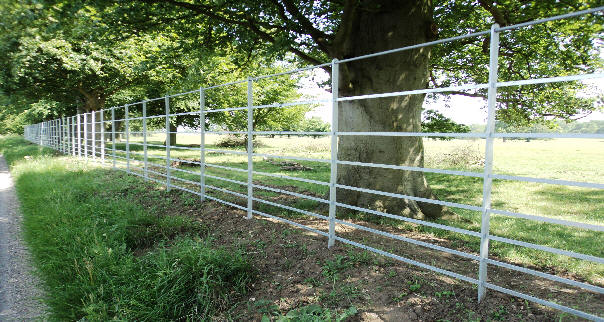 Deer Fencing | Swift Engineering Ltd