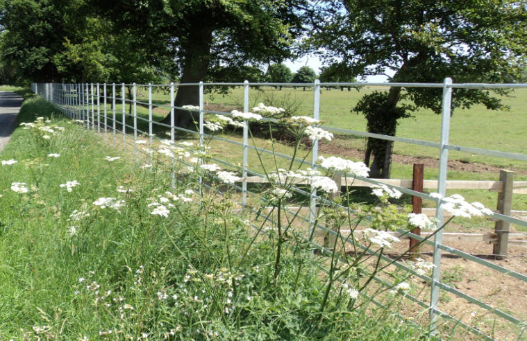 Deer Fencing | Swift Engineering Ltd